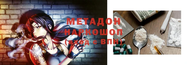 ГАЛЛЮЦИНОГЕННЫЕ ГРИБЫ Михайлов