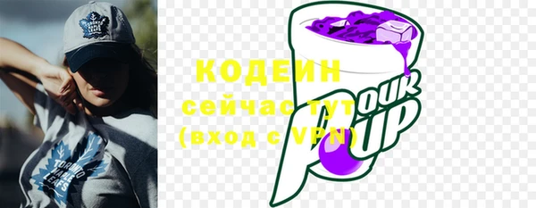 ГАЛЛЮЦИНОГЕННЫЕ ГРИБЫ Михайлов