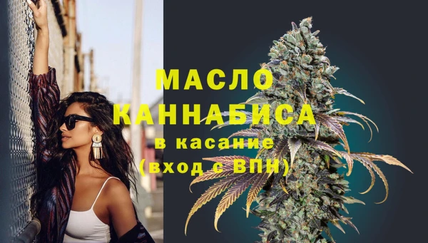 ГАЛЛЮЦИНОГЕННЫЕ ГРИБЫ Михайлов