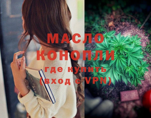 ГАЛЛЮЦИНОГЕННЫЕ ГРИБЫ Михайлов