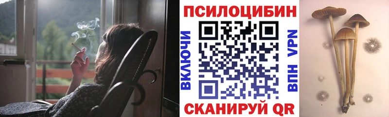Псилоцибиновые грибы Psilocybine cubensis  Ясный 