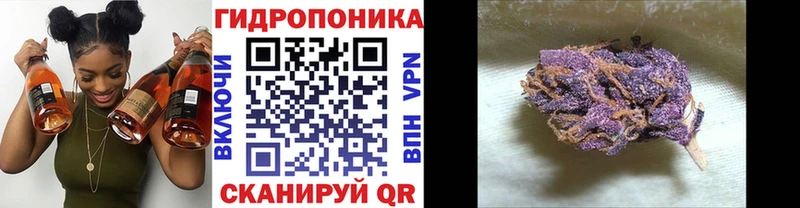 МАРИХУАНА MAZAR  где продают наркотики  Ясный 
